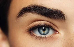 Preencha os espaços em branco… 7 receitas naturais para engrossar os pelos das sobrancelhas