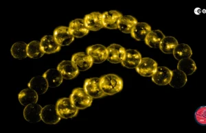 Uma missão solar que sobreviveu a um desastre e encontrou 5.000 cometas