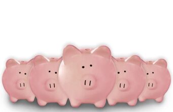 Melhores taxas à vista Isa 2025: nossa escolha das cinco principais ofertas