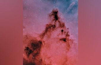 Abu Dhabi.. Tirando uma foto impressionante do aglomerado de árvores e da nebulosa do cone