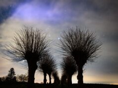 A melhor maneira de assistir à chuva de meteoros Geminídeos quando ela atingir o pico esta noite: atualizações ao vivo.