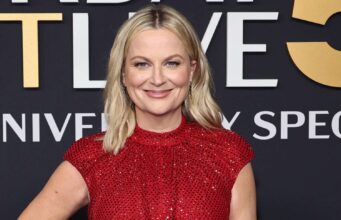 Amy Poehler briga em avião após xingar na frente dos filhos do ator