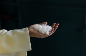 Everbloom construiu uma IA para transformar penas de galinha em caxemira