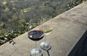 O interesse pelos vinhos desalcoolizados está a aumentar, mas muitas questões permanecem