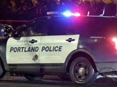 Um motorista foi apreendido com cocaína após bater em um carro da polícia na manhã de sexta-feira.