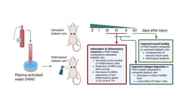 Plasma-Activated-Water-Improve-Wound-Healing-in-Diabetic-Rats-by-Influencing-the-Inflammatory-and-Re.jpeg