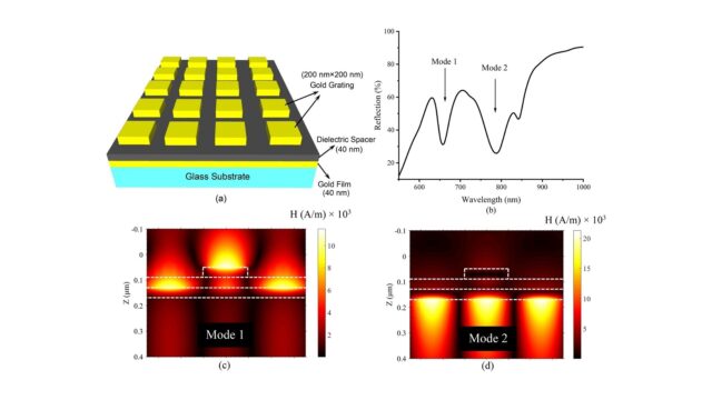 Self-referencing-surface-plasmon-sensor-for-resolution-enhancement.jpg