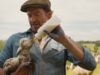 Hugh Jackman tem ovelhas falantes em filme