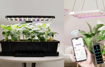 Os melhores presentes de plantas e jardinagem da LetPot (2025)