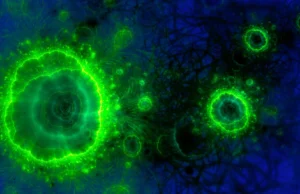 As profundezas do oceano estão fixando carbono de maneiras que ninguém esperava