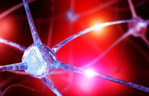 Cientistas descobriram uma queda oculta de nutrientes no cérebro que pode causar ansiedade