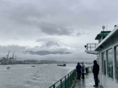 Os geradores de imagens de IA estão cada vez melhores e piores