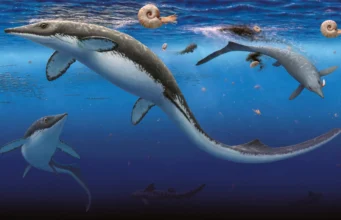 A pior extinção da Terra foi seguida por um retorno surpreendentemente rápido dos oceanos