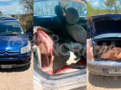 De um filme: Depois de ser baleado pela polícia após uma perseguição, Khush Khash fugiu