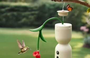 Hum Bloom da Birdfy captura imagens em câmera lenta de 120fps de beija-flores