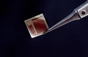 Cientistas descobriram um minúsculo chip cerebral que transmite pensamentos em tempo real