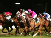 Visualizações e dicas segregadas por raça para Canterbury no dia de Ano Novo