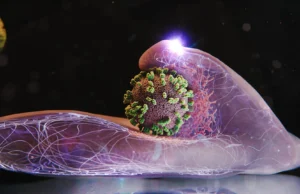 Cientistas registram vírus influenza que penetram nas células humanas em tempo real