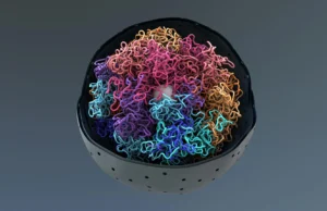 Cientistas capturam a visão mais detalhada das gotículas de DNA