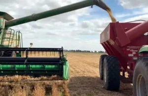 Quanto será tributado a soja ECONOMIA El Intransigente