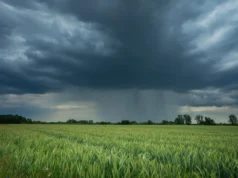 Cientistas descobriram um padrão oculto de chuvas que poderia remodelar a agricultura