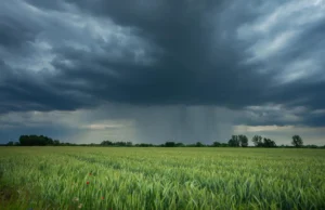 Cientistas descobriram um padrão oculto de chuvas que poderia remodelar a agricultura