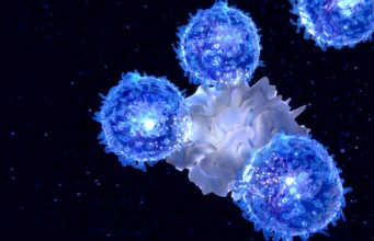 Cientistas do MIT encontram uma maneira de rejuvenescer o sistema imunológico à medida que envelhece