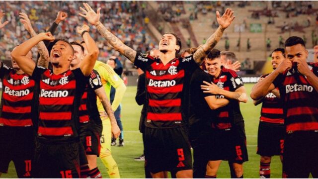 flamengo-2160338.jpg