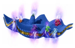 Células vivas podem gerar eletricidade a partir do movimento