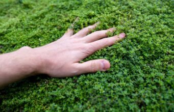 Retirada em massa das redes sociais