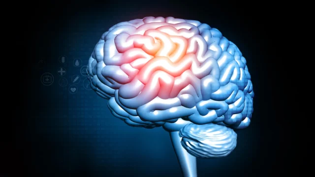human-brain-inflammation-stress-injury-damage.webp.webp
