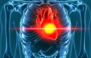 Um novo estudo sugere que certas dietas à base de vegetais podem aumentar o risco de doenças cardíacas