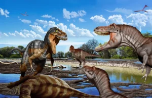 Este osso raro finalmente resolve o mistério do Nanotirano