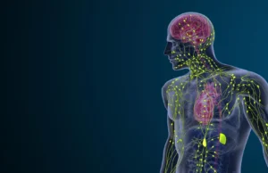 Lesões nervosas podem causar alterações imunológicas latentes em todo o corpo