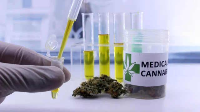 medical-cannabis-testing.webp.webp
