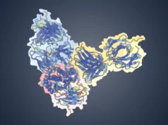 A inteligência artificial encontra uma vulnerabilidade surpreendente à varíola dos macacos que poderia reescrever as vacinas