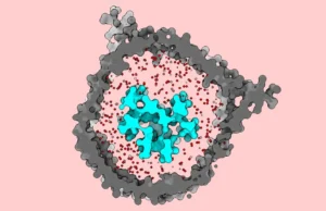 Um interruptor oculto de células T poderia fazer a imunoterapia contra o câncer funcionar para mais pessoas