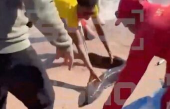 Turista hospitalizado após ser atacado por enguia gigante em uma praia de férias no Reino Unido… enquanto o vídeo mostra salva-vidas lutando com o monstro