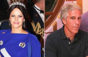 Em 2005, a Corte Real Sueca admitiu que a Princesa Sofia teve um encontro com Epstein