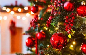 Chegou o dia tão esperado: dicas para montar a árvore de Natal