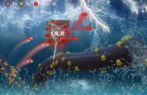 Resíduos de fábricas de papel podem desbloquear energia limpa mais barata