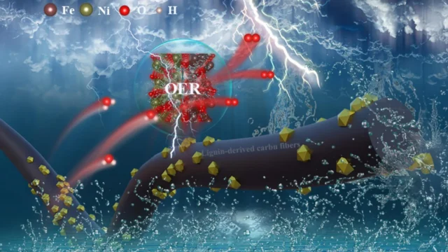 renewable-lignin-waste-transformed-into-powerful-catalyst-for-clean-hydrogen-production.webp.webp