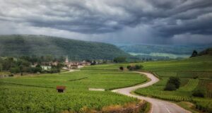 Para onde se mudar na Itália se você adora vinho e azeite