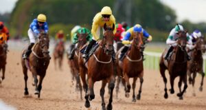 Hoje na Sky Sports Racing: Ação para todos os climas de Southwell | Notícias de corrida