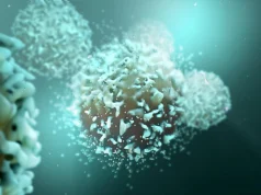 Bloquear uma única proteína estimula o sistema imunológico contra o câncer