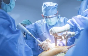 Cientistas apoiam a vida humana com a ajuda de fígado de porco geneticamente modificado