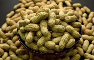 Alergias ao amendoim em crianças diminuíram após aconselhamento para alimentar bebês com alérgenos, segundo estudo