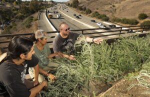 O ‘Delnberg Crowdsife Wildlife Cycle’ está recebendo plantas este mês