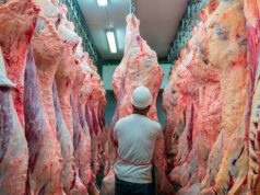 O governo definiu como distribuir a cota de carne bovina para exportação aos Estados Unidos ECONOMIA El Intransigente