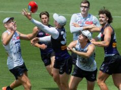 Notas de treinamento de Fremantle: O recruta inicial Toby Kosar pega grandes armas de rake Docker após ser convocado para o treinamento